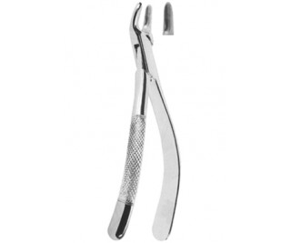Extracting Forceps American pattern